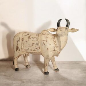 Nandi Distress Colour