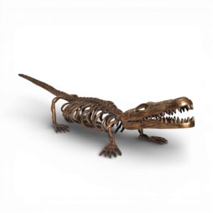 Crocodile Skeletal