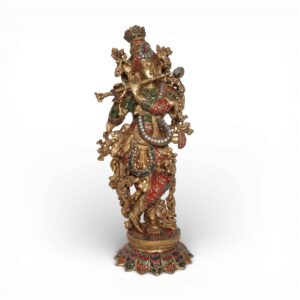 Krishna Ji
