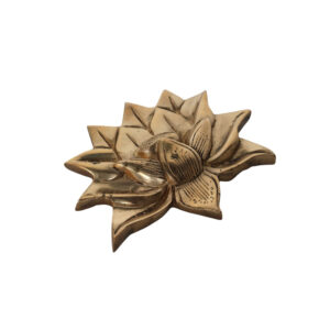 Lotus Big